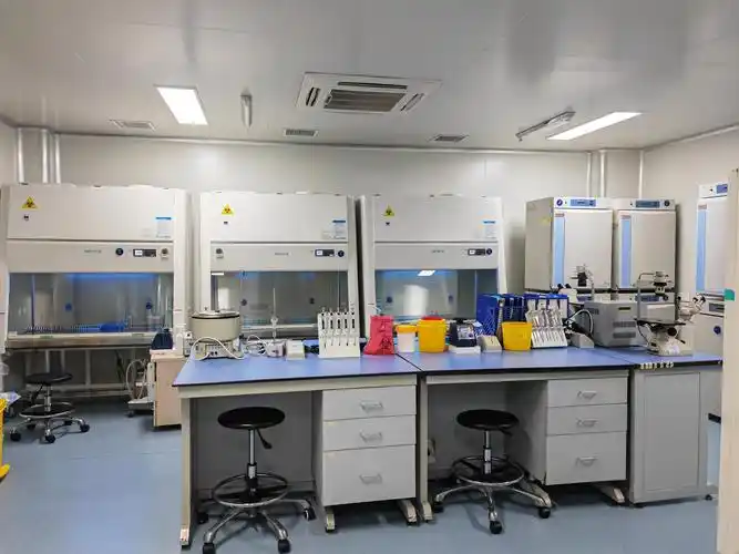 光伏组件抗风载检测 极端天气下电站安全防护方案