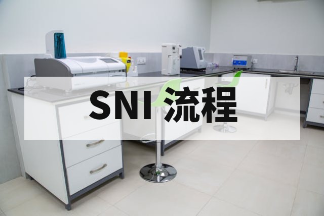 印尼 SNI 认证申请条件及流程详解