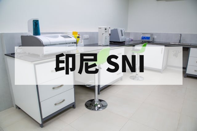印尼 SNI IEC 62115 电动玩具安全认证测试要求详解